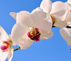梅州正规助孕捐卵机构，附正规捐卵机构报名表！